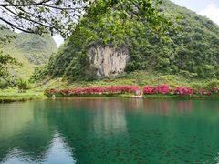 -靖西鹅泉风景区
