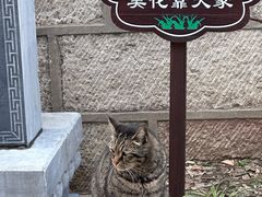 -云龙山