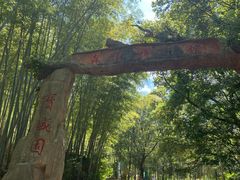 -句容茅山景区
