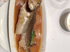 黄鱼-西郊壹号