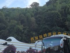 -西双版纳原始森林公园