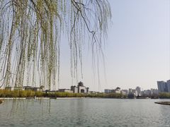 -莲花池公园