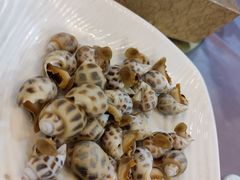 花螺-老钱饭店(后渚港店)