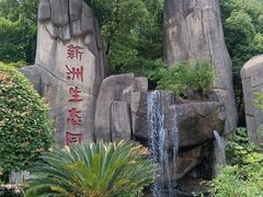 -新洲生态园