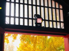 -北京石刻艺术博物馆(五塔寺)