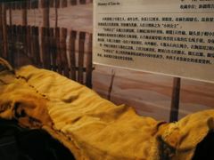 -北京大学赛克勒考古与艺术博物馆