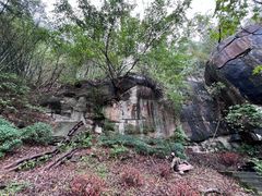 -铁山坪森林公园