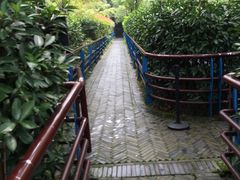 -韶山毛泽东同志故居