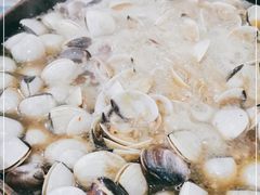 -顺德哥卜卜贝(旗舰店)