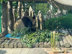 -大连森林动物园