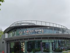 -茶人村(上海店)