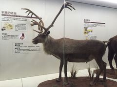 iphone_upload_pic-山东博物馆