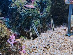 -大连老虎滩海洋公园