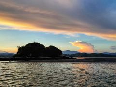 -大亚湾红树林城市湿地公园
