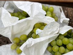 -马陆小张葡萄园农家乐