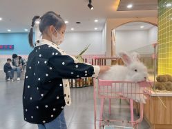 -Moni星球萌宠·小马宝莉·灵蛇·高端高阶全萌宠互动体验俱乐部(红豆国际广场店)