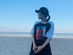 -巨鹏飞梦幻海岸