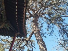 -潭柘寺景区