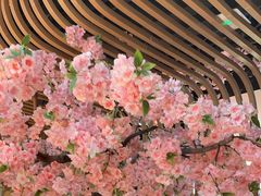 -松子料理(华威桥店)