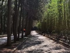 -蝴蝶泉公园