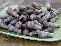 钉螺-贞姨美食·老字号海鲜大排档