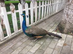 -西昌邛海宾馆