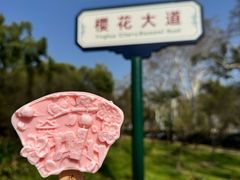 -武汉大学-樱园