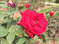 -人民公园(罗湖区)