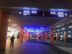 -华润深圳湾体育中心-“春茧” 体育馆