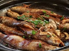 -食家鸽园