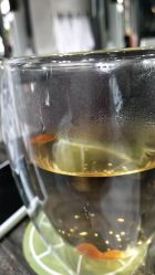 -蚂蚁造型沙龙