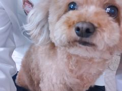 -小杨生煎(火车站北广场店)