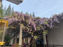 -郑和公园