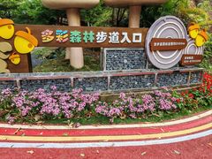 -广州市流溪河国家森林公园