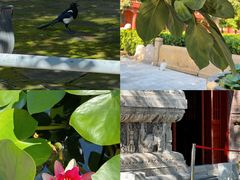 -北京石刻艺术博物馆(五塔寺)