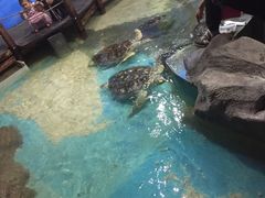 -嘉兴海底世界