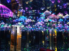 -梵高星空艺术馆(北京旗舰店)