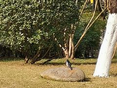 -龙头寺公园