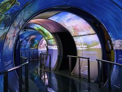 -房山世界地质公园博物馆