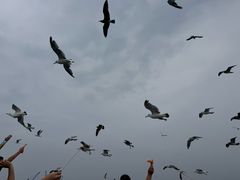 -海驴岛(荣成市)