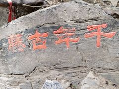 -孤山寨风景区