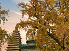 -北京石刻艺术博物馆(五塔寺)
