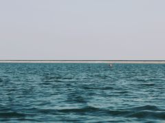 -碧海金沙
