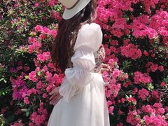 -木兰云雾山