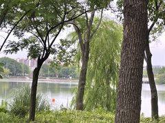 -南翔镇银翔湖公园