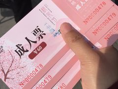-金鸡湖桃花岛