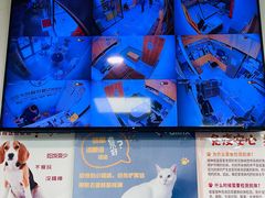 -中农大我爱我爱动物医院·核磁CT·猫病·24小时夜诊中心(石佛营店)