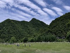 -狮子沟牧场