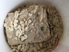 燕麦粥-乐纯(苹果社区店)