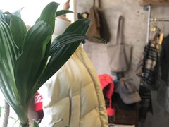 -春庄咖啡SpringHues(钟楼小区店)